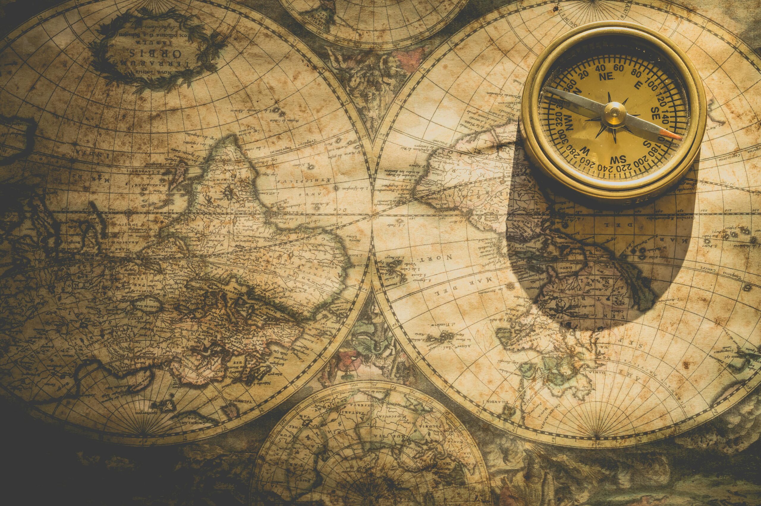 Continental Drift; How Glossopteris Lay The Way For World Changing Theory